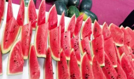 热门大瓜今日吃瓜校园,揭秘热门大瓜，一起吃瓜涨知识