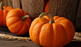 今日宜吃瓜第四集,揭秘娱乐圈背后的秘密与真相