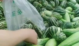 瓜叔今日吃瓜,揭秘娱乐圈最新热点事件